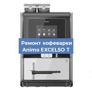 Замена фильтра на кофемашине Animo EXCELSO T в Нижнем Новгороде